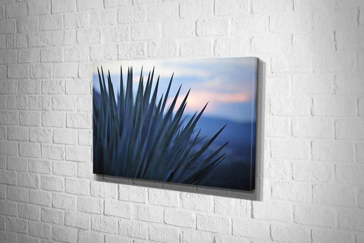 Sunset Over Agave | Canvas Wall Art Print - Final Touch Decor