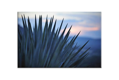 Sunset Over Agave | Canvas Wall Art Print - Final Touch Decor