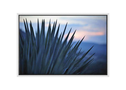 Sunset Over Agave | Canvas Wall Art Print - Final Touch Decor