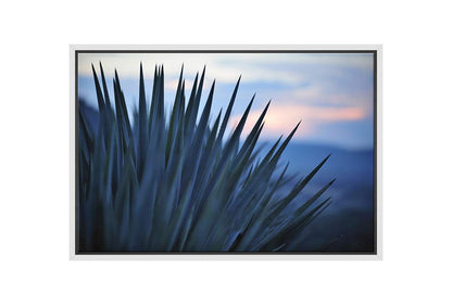 Sunset Over Agave | Canvas Wall Art Print - Final Touch Decor