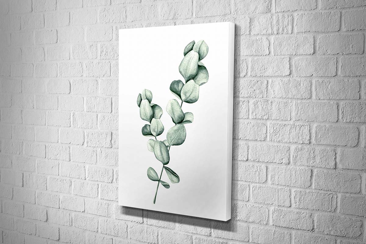 3603 Cropped hd canvas portrait