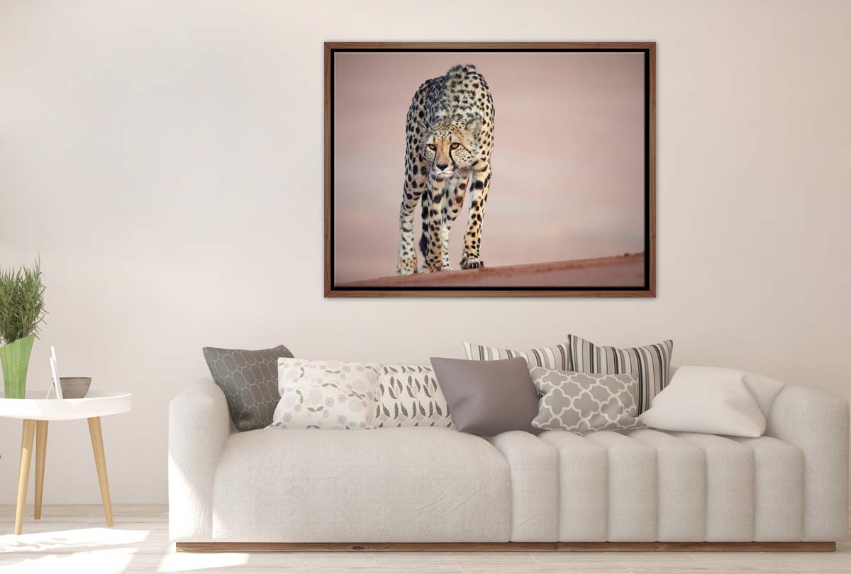 Stalking Cheetah | Animal Canvas Wall Art Print - Final Touch Decor