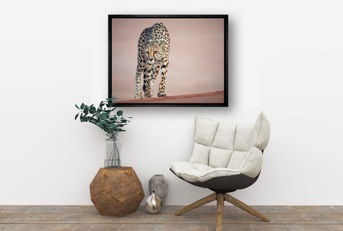 Stalking Cheetah | Animal Canvas Wall Art Print - Final Touch Decor