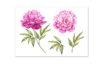 Peony Botanical Print | Flower Canvas Wall Art Print - Final Touch Decor