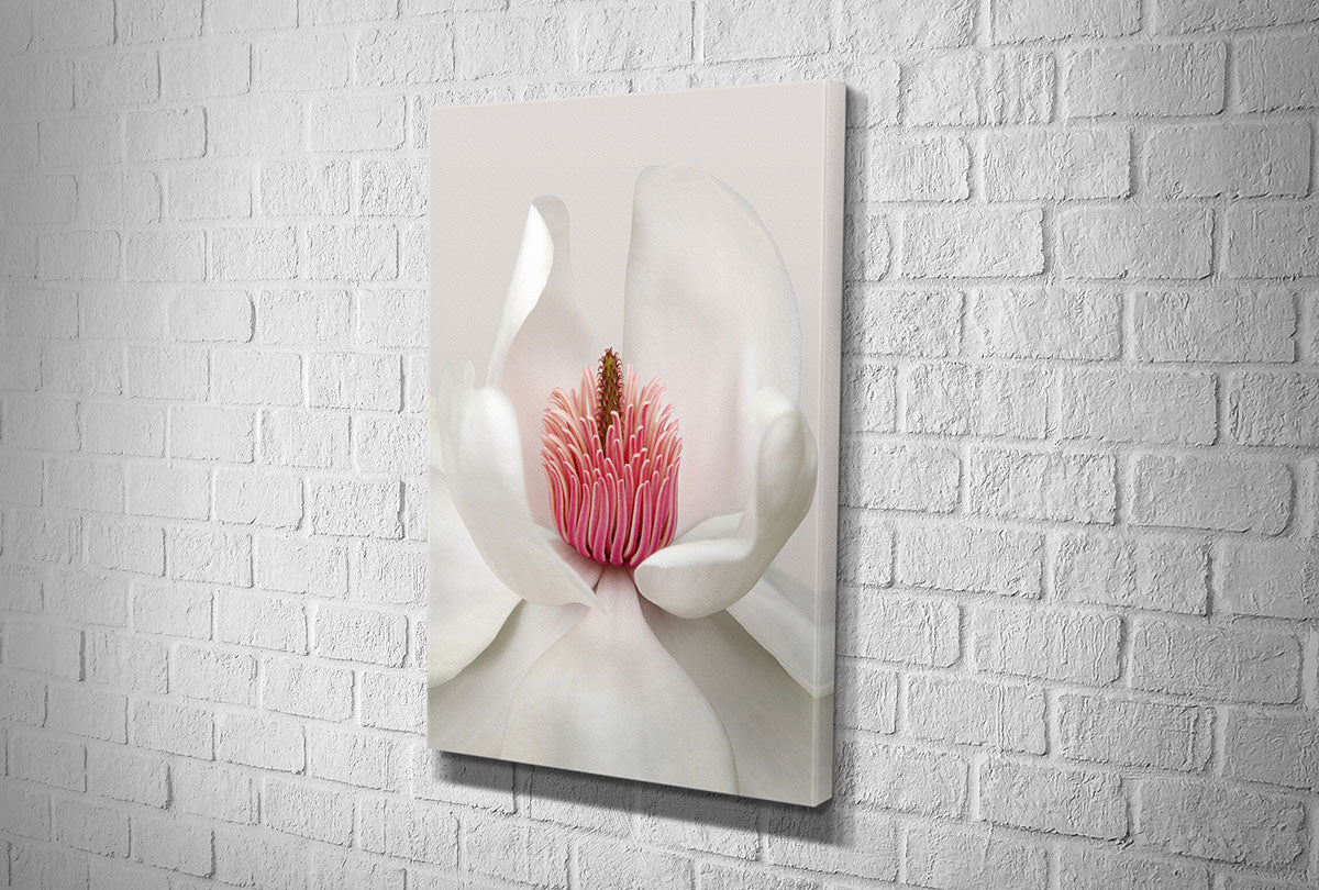 4100 hd canvas portrait