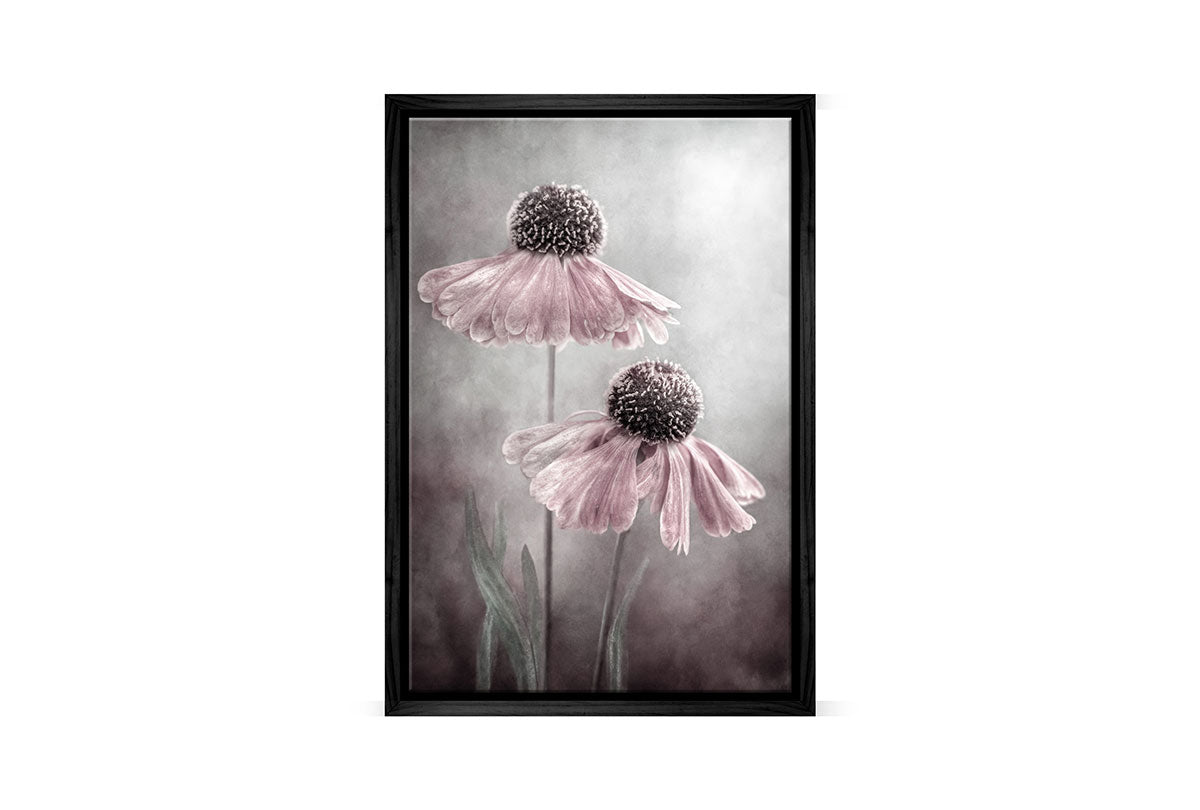 4101 black