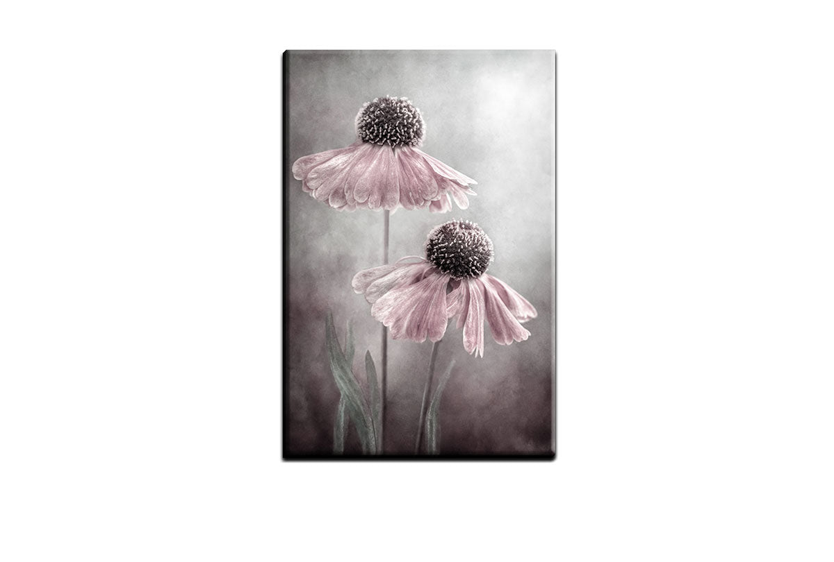 4101 canvas