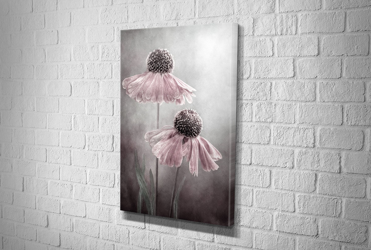 4101 hd canvas portrait