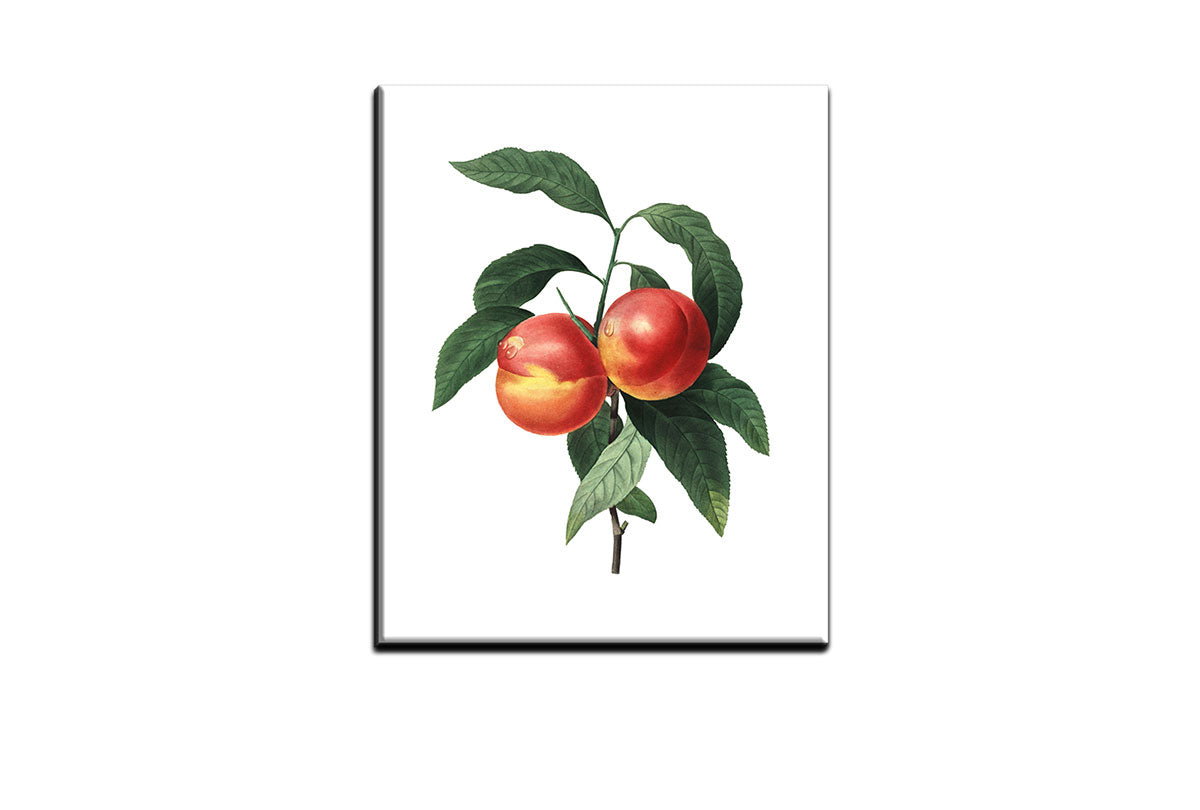 4105 canvas