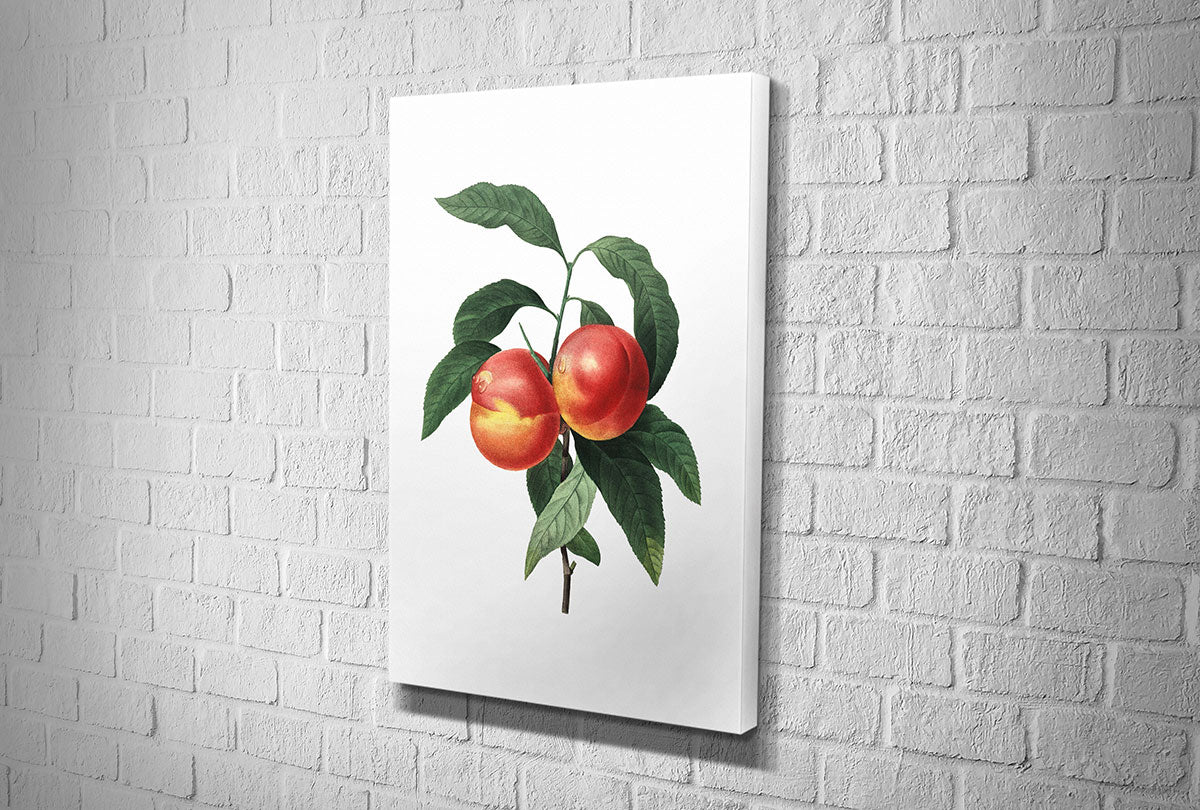 4105 hd canvas portrait