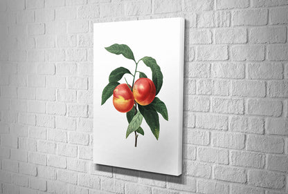 4105 hd canvas portrait