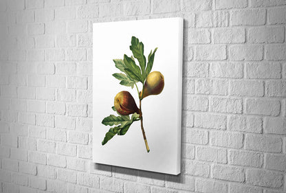 4106 hd canvas portrait
