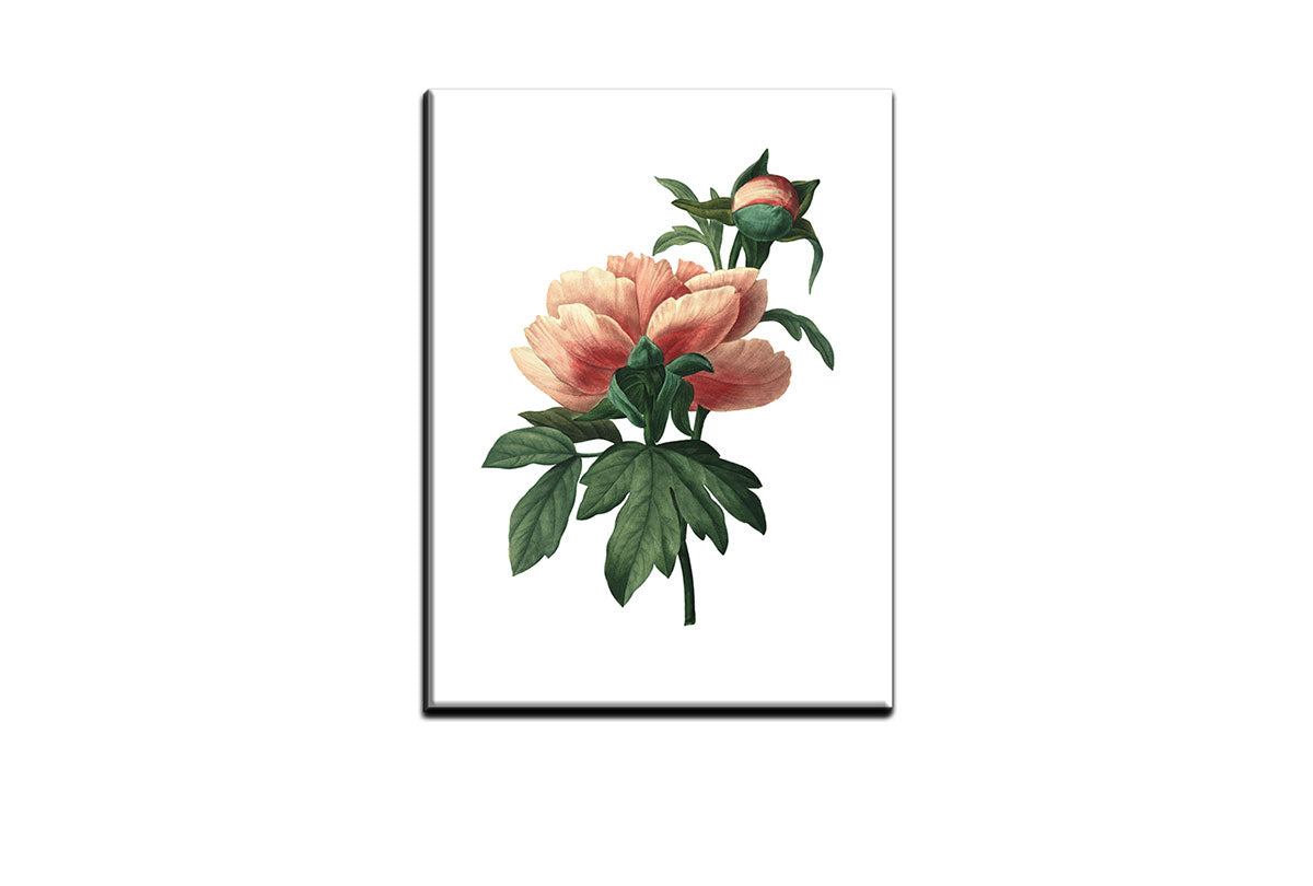 4107 canvas