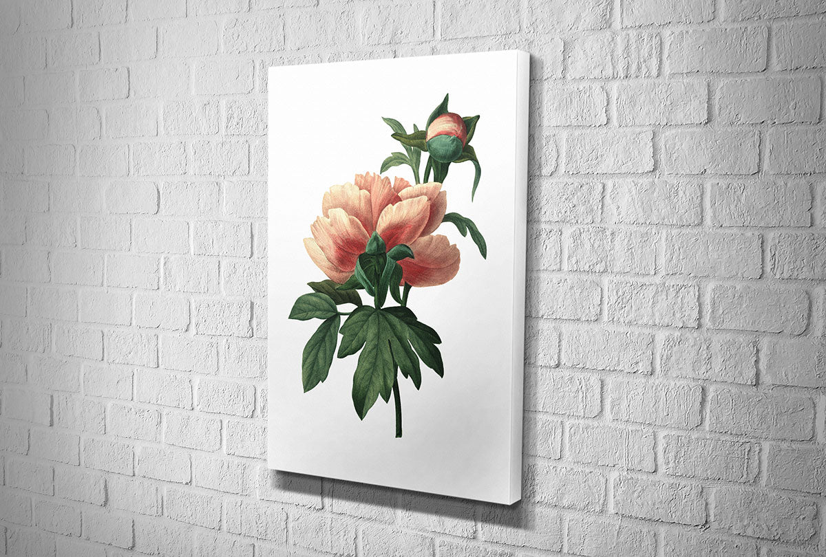 4107 hd canvas portrait