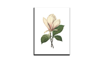 4109 canvas