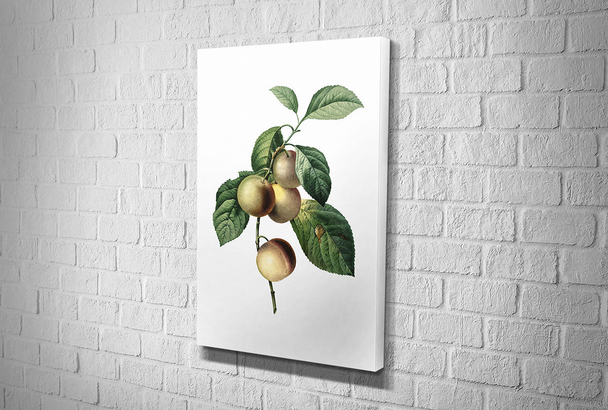 4110 hd canvas portrait