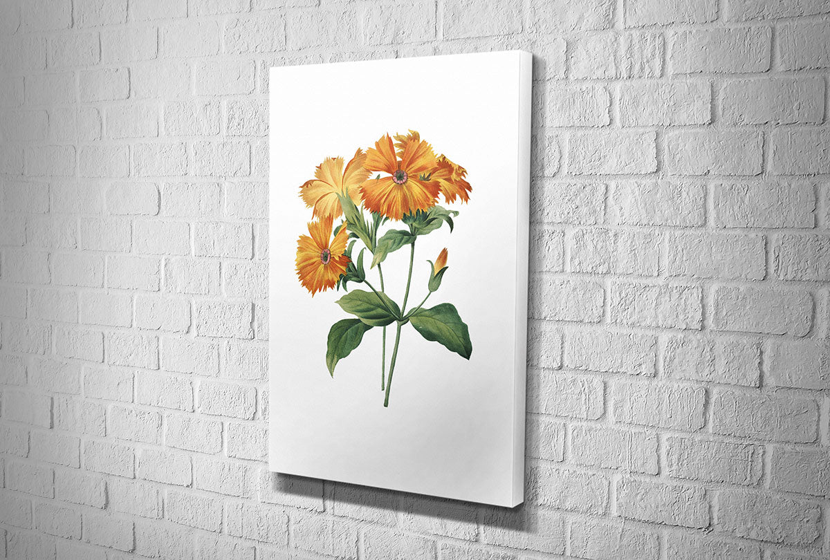4112 hd canvas portrait