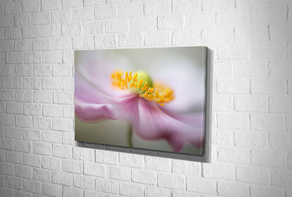 4113 hd canvas landscape