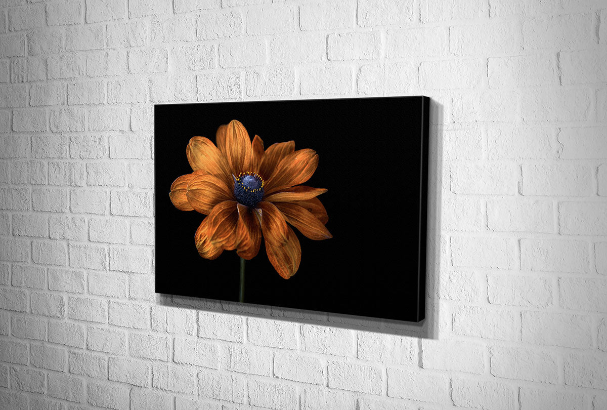 4114 hd canvas landscape