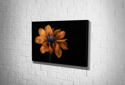 4114 hd canvas landscape
