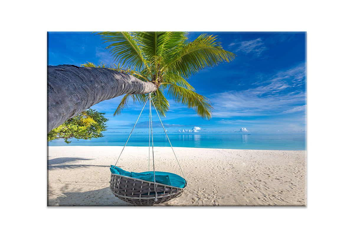 Tropical Palm Swing | Beach Wall Art Print - Final Touch Decor