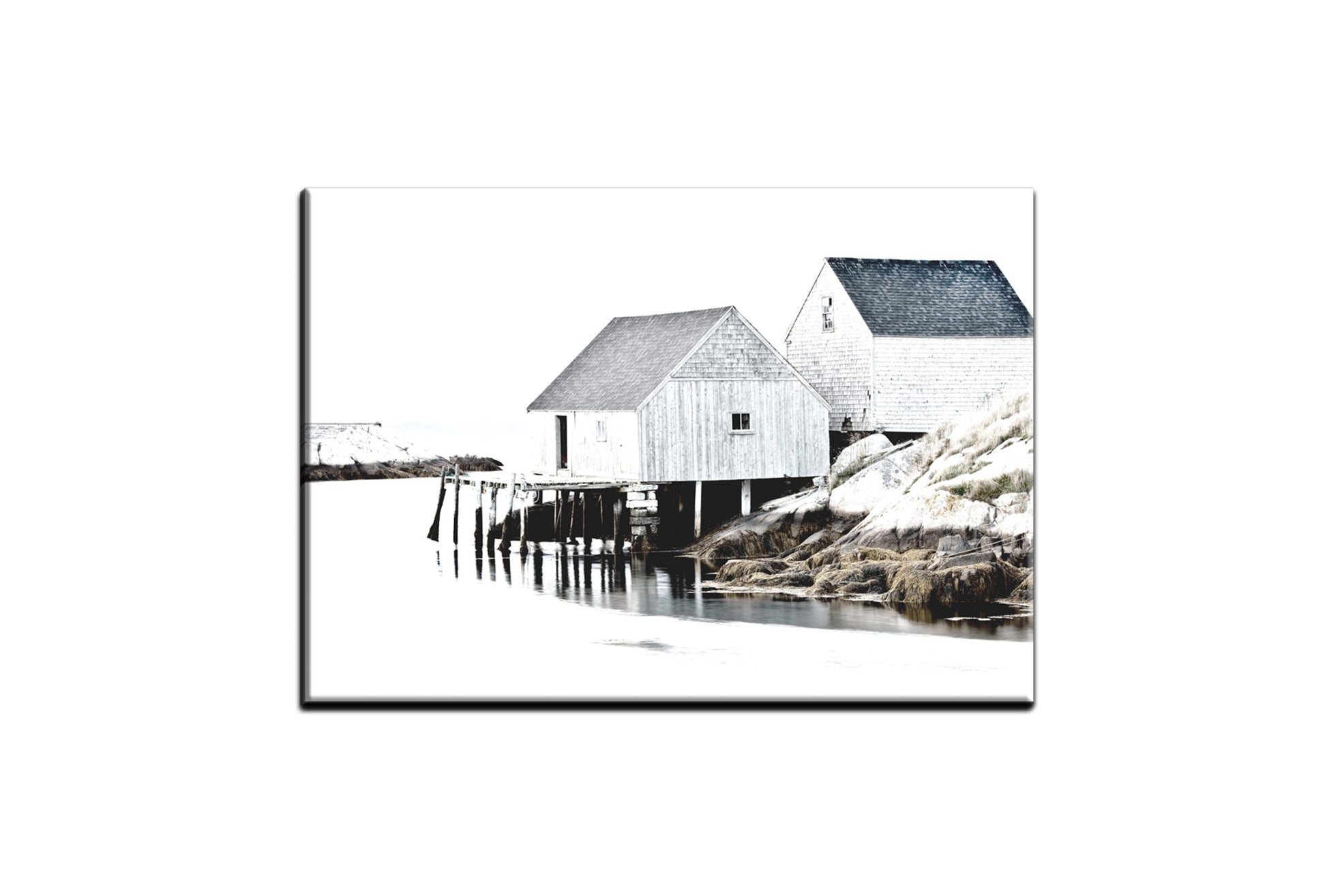 4401 canvas scaled