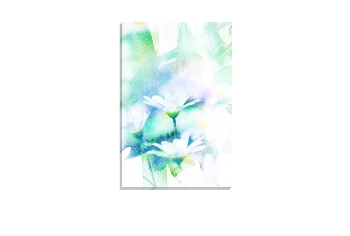 700 Canvas
