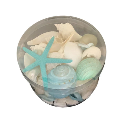 Explore & Shop Premium Mixed Sea Shell Pack Aqua – Final Touch Decor