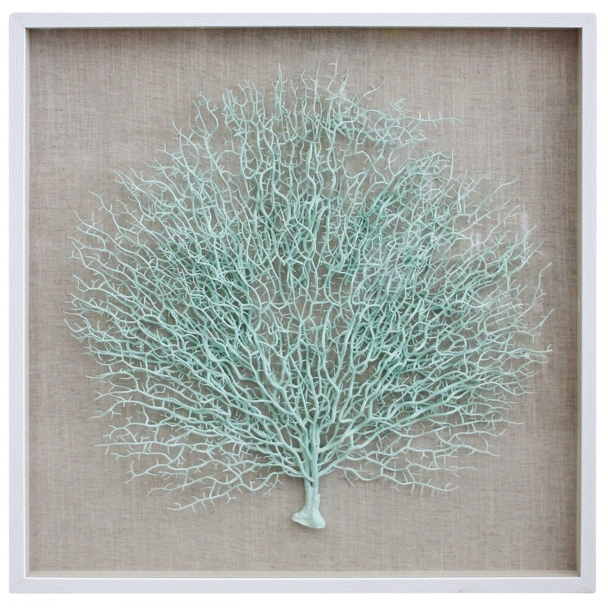 framed fan coral