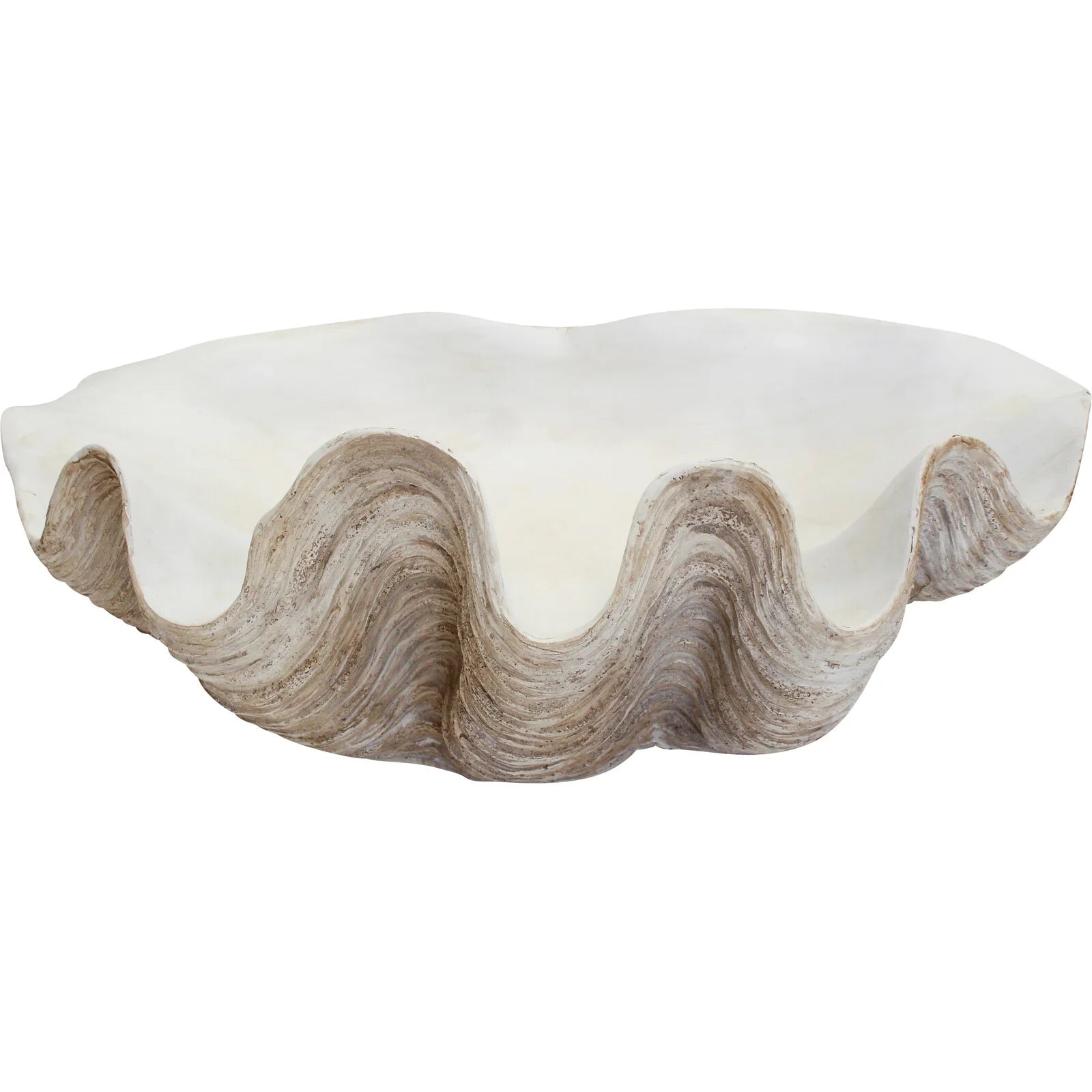 Giant Clam Shell | Final Touch Decor