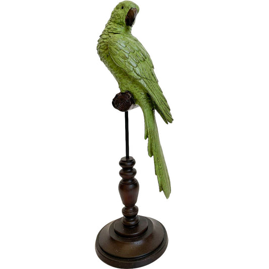 green parrot