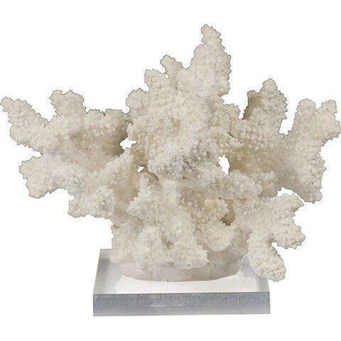 large elkhorn coral white 1