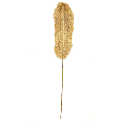 shaggy leaf