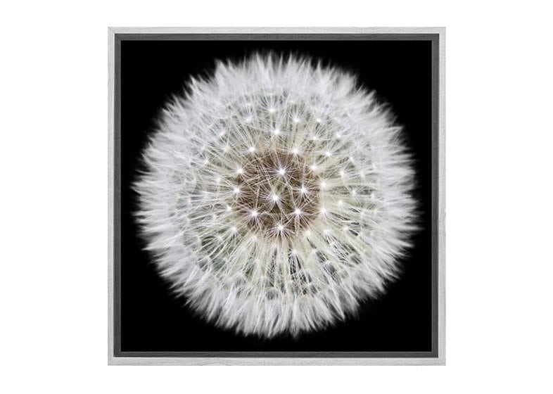t 1712 white