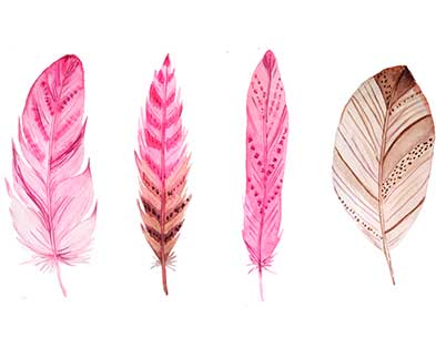 thumb 216 boho pink feathers original