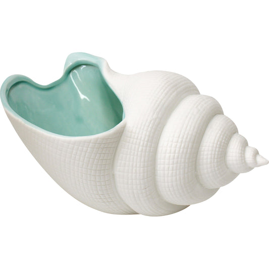 tulip shell seafoam