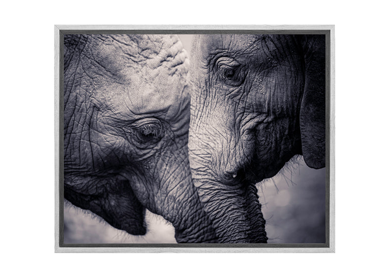 Elephant Love | Canvas Wall Art Print - Final Touch Decor