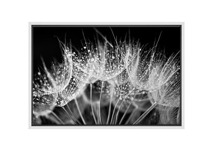 Close-Up Dandelion on Black | Canvas Wall Art Print - Final Touch Decor