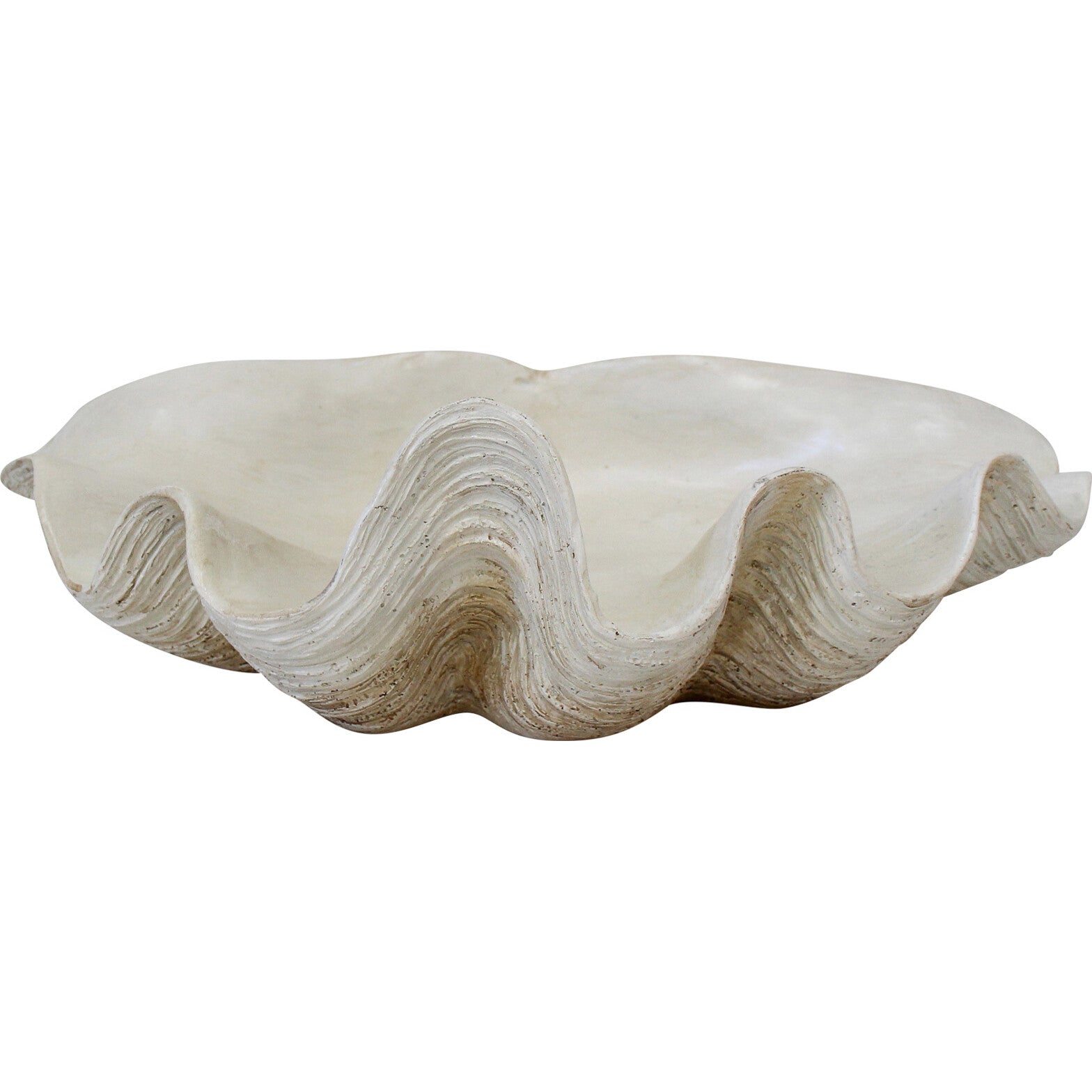 white faux clam shell