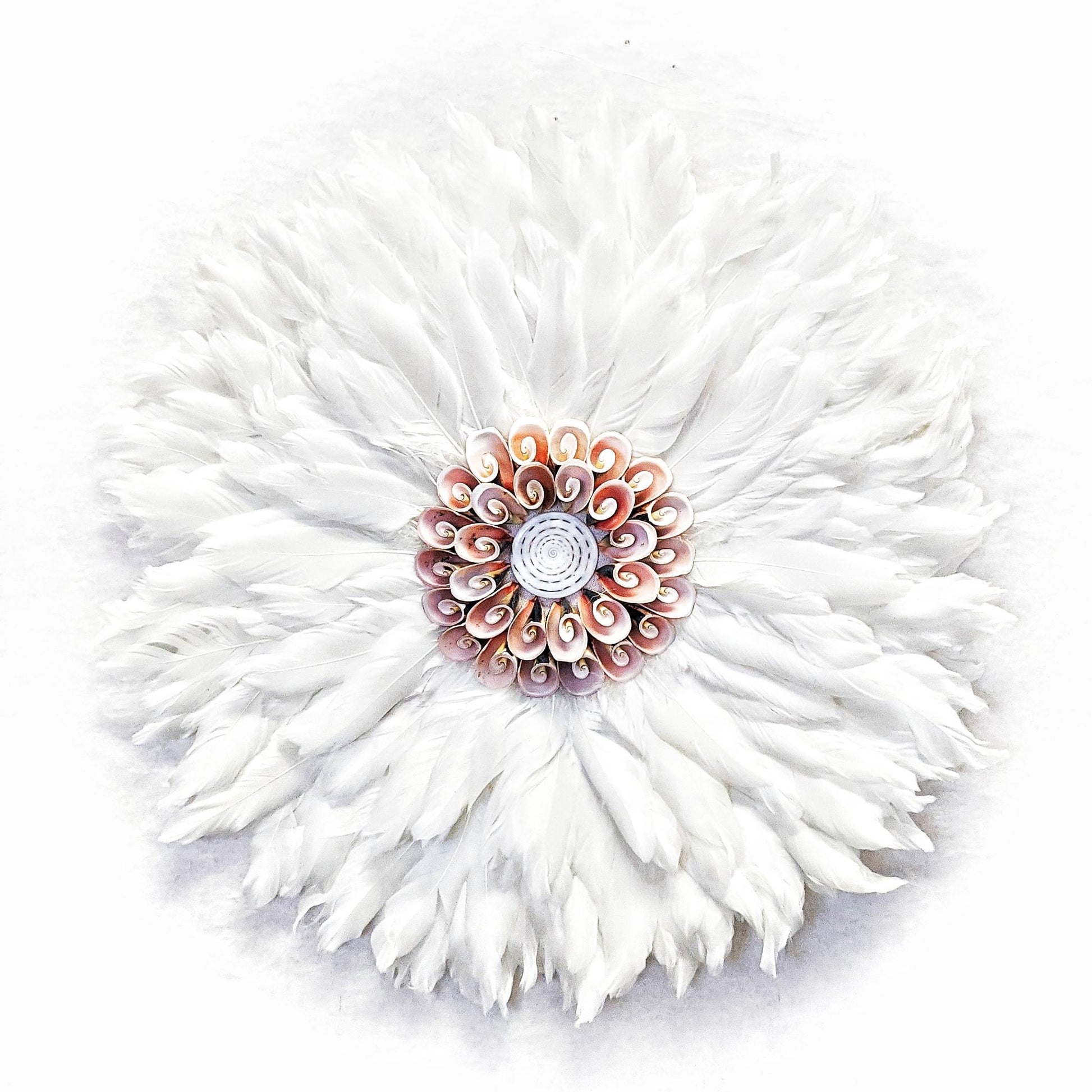 white juju pink shells